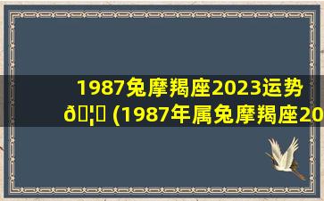1987兔摩羯座2023运势 🦅 (1987年属兔摩羯座2021年运势)